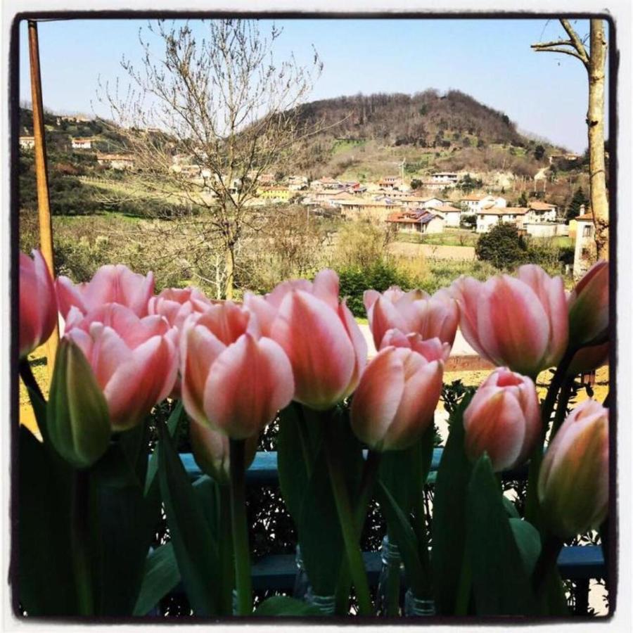 Belvedere Resort Ai Colli Galzignano Terme Екстер'єр фото